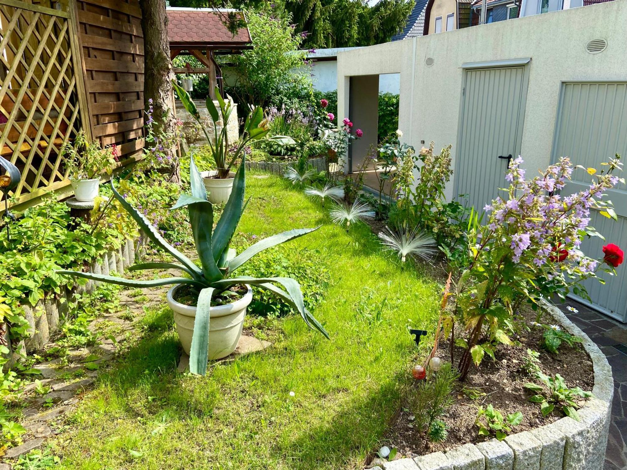Regenbergblick Apartman Zella-Mehlis Kültér fotó